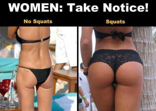 squats-no-squats